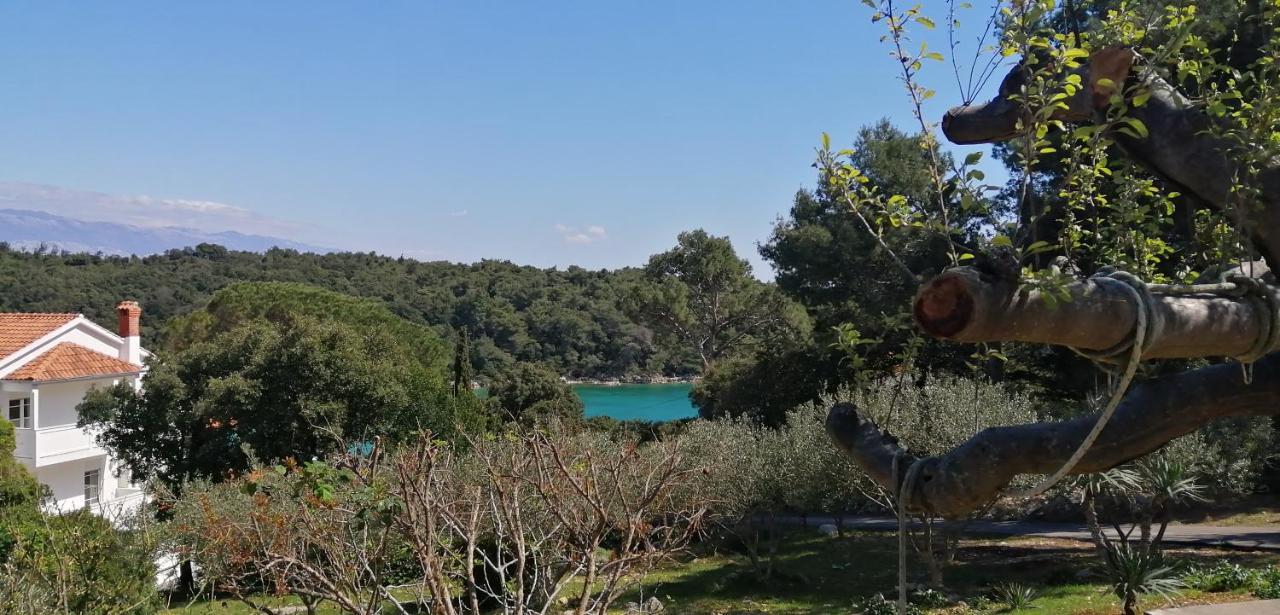 Milijana Apartments Rab Раб Екстер'єр фото