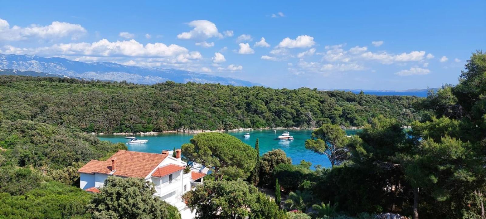 Milijana Apartments Rab Раб Номер фото