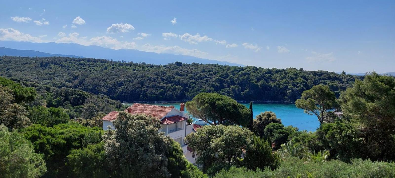 Milijana Apartments Rab Раб Номер фото